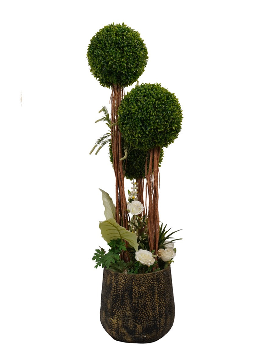 PLANT